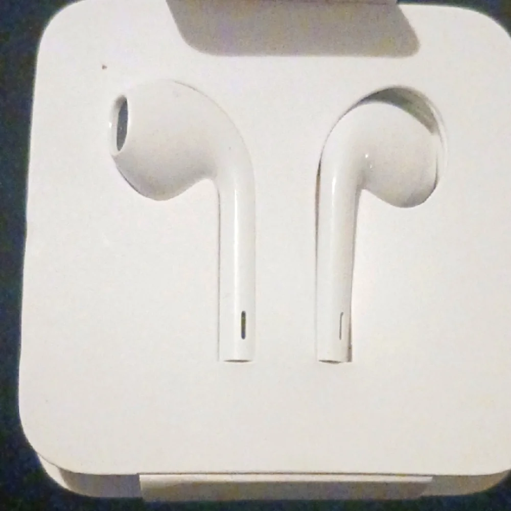 White EarPods with Case